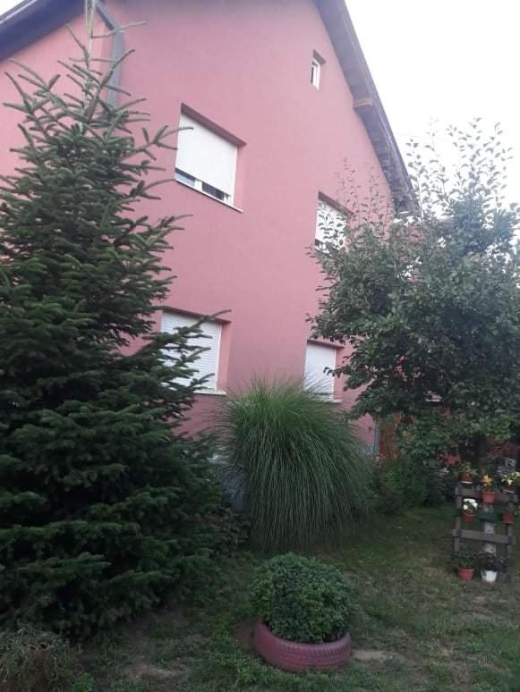 Apartman Drina Berilovac Esterno foto