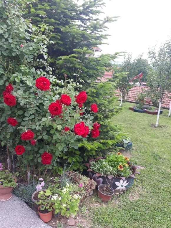 Apartman Drina Berilovac Esterno foto