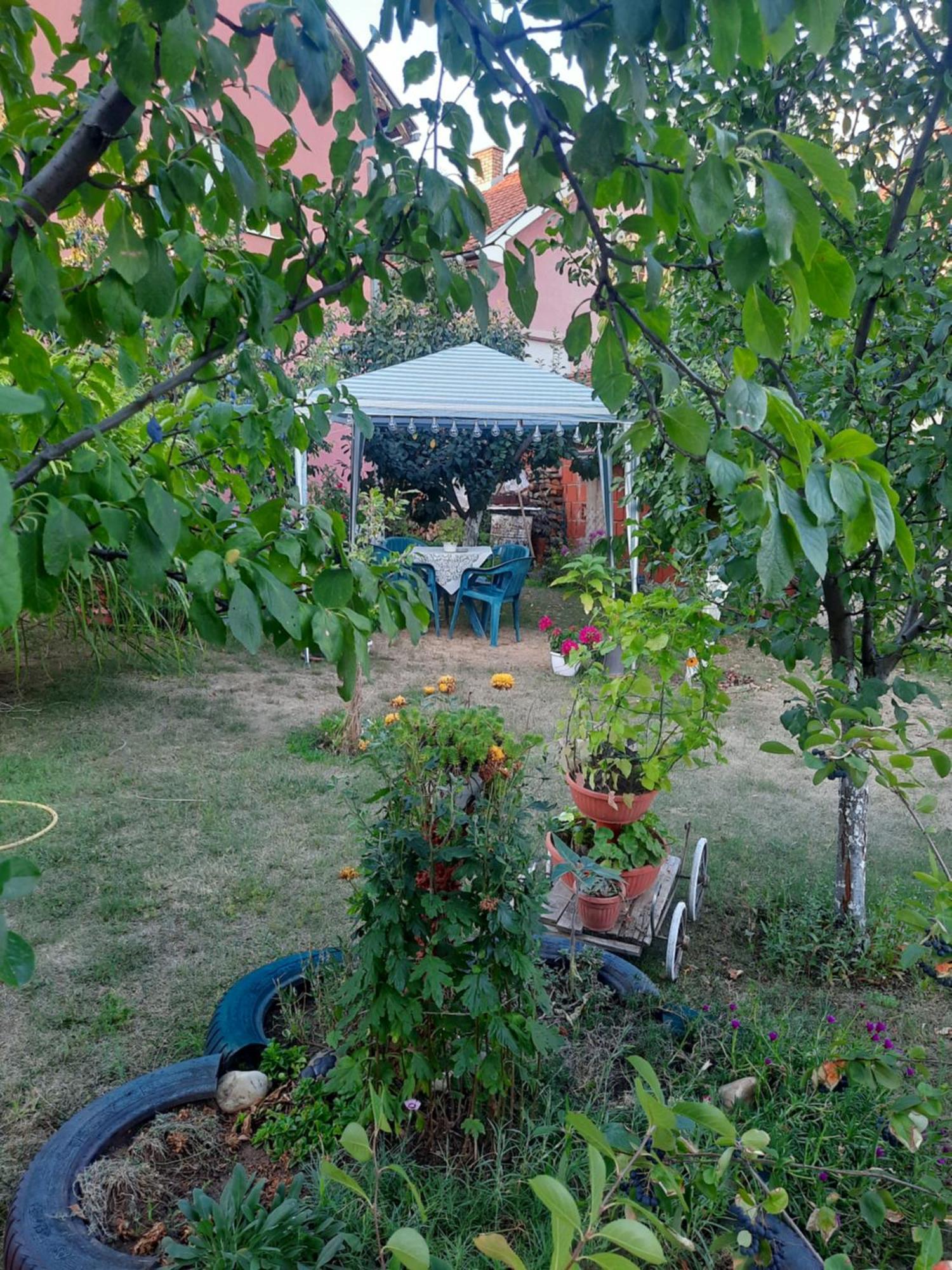 Apartman Drina Berilovac Esterno foto